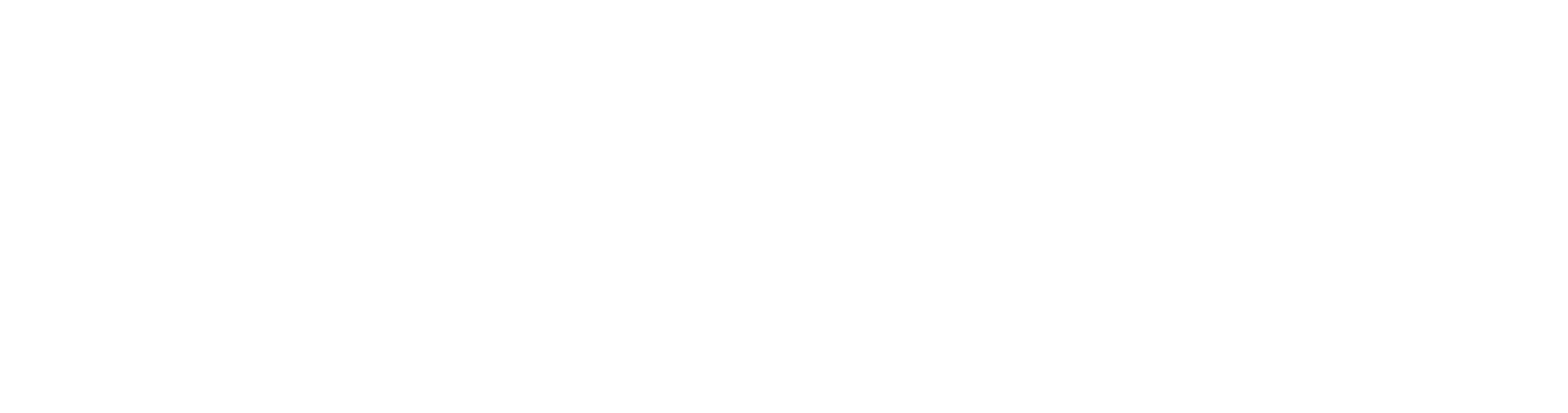 Liquid Maldives logo